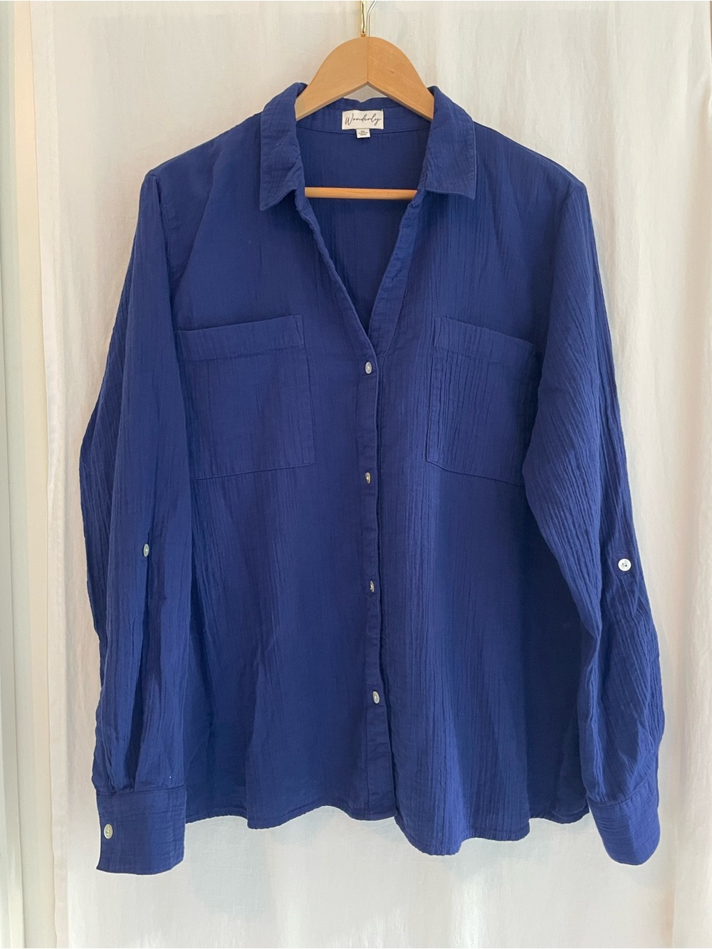 Wonderly Blue Casual Button-Down Shirt